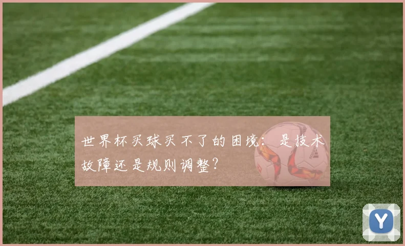 世界杯买球买不了的困境：是技术故障还是规则调整？